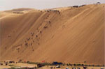 希拉穆仁草原、库布其沙漠观光二日游